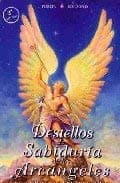 Portada de Destellos De Sabiduria De Los Arcangeles