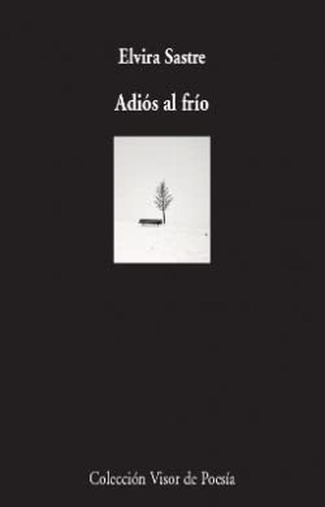 Portada de Adiós al frío: 1105 (Visor de Poesía)