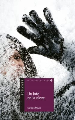 Portada de UN LOTO EN LA NIEVE