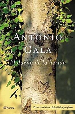 Portada de El dueño de la herida