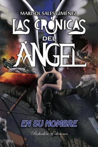 Portada de Las crónicas del ángel. En su nombre: 1 (Arce)
