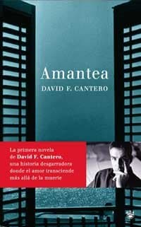 Portada de Amantea: 159 (Novelas ficción)