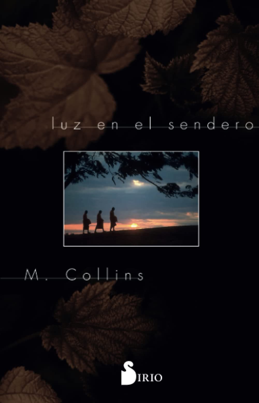 Portada de Luz en el Sendero (2004)