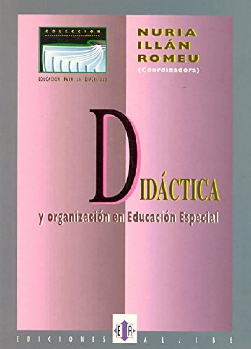 Portada de Didactica y Organizacion En Educacion (DIVERSIDAD Y DIFICULTADES DE APRENDIZAJE)
