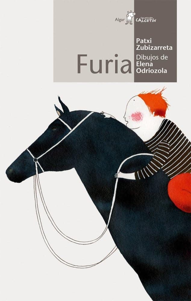 Portada de Furia: 26 (Calcetín)