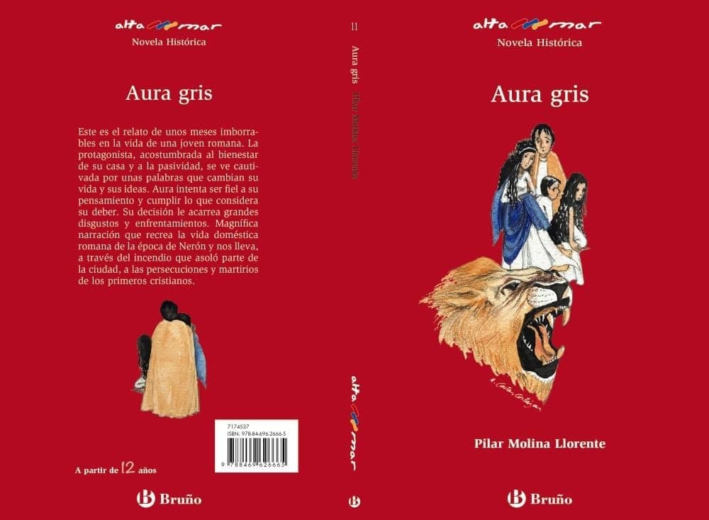 Portada de Aura gris (Castellano - A PARTIR DE 12 AÑOS - ALTAMAR)