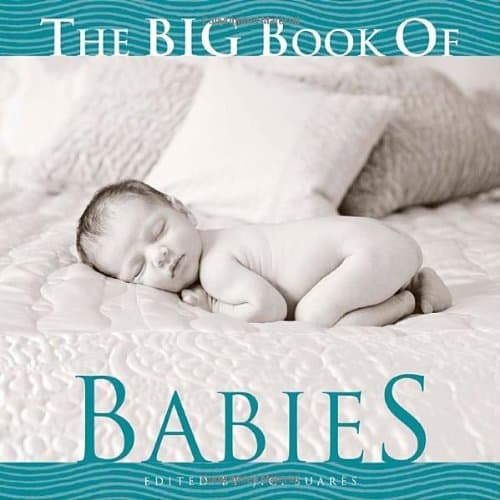 Portada de The Big Book of Babies (Big Book of . . . (Welcome Books))