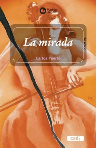 Portada de La mirada (Punt de trobada)