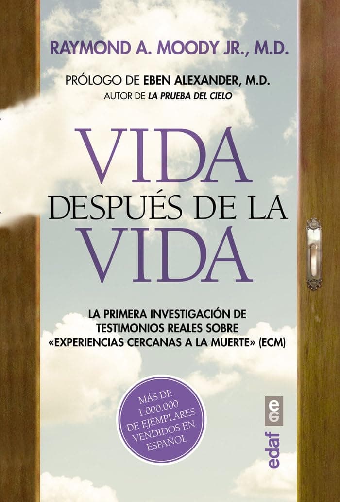 Portada de Vida después de la vida (Best book)