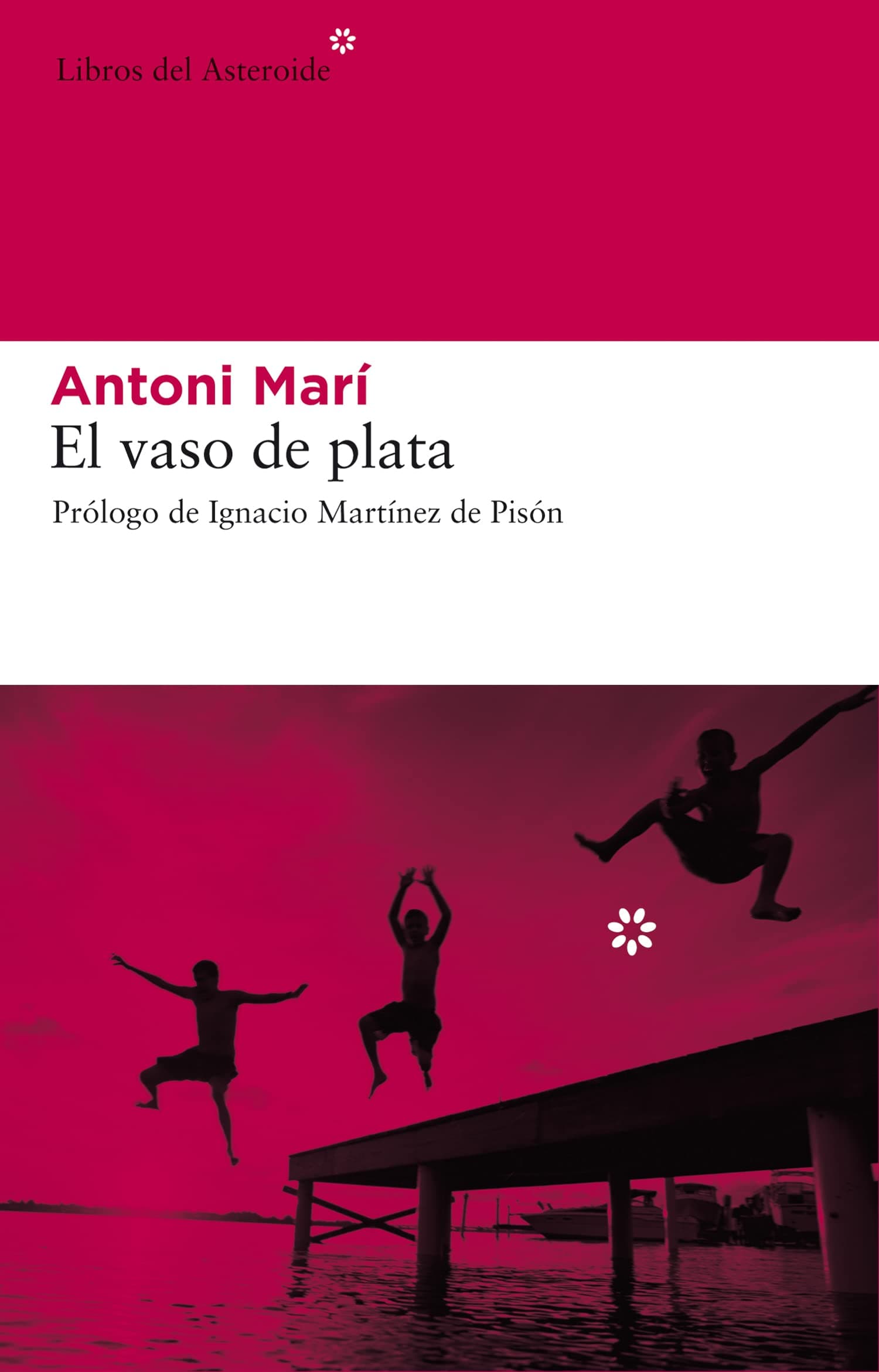Portada de Vaso De Plata,El 2ｦed