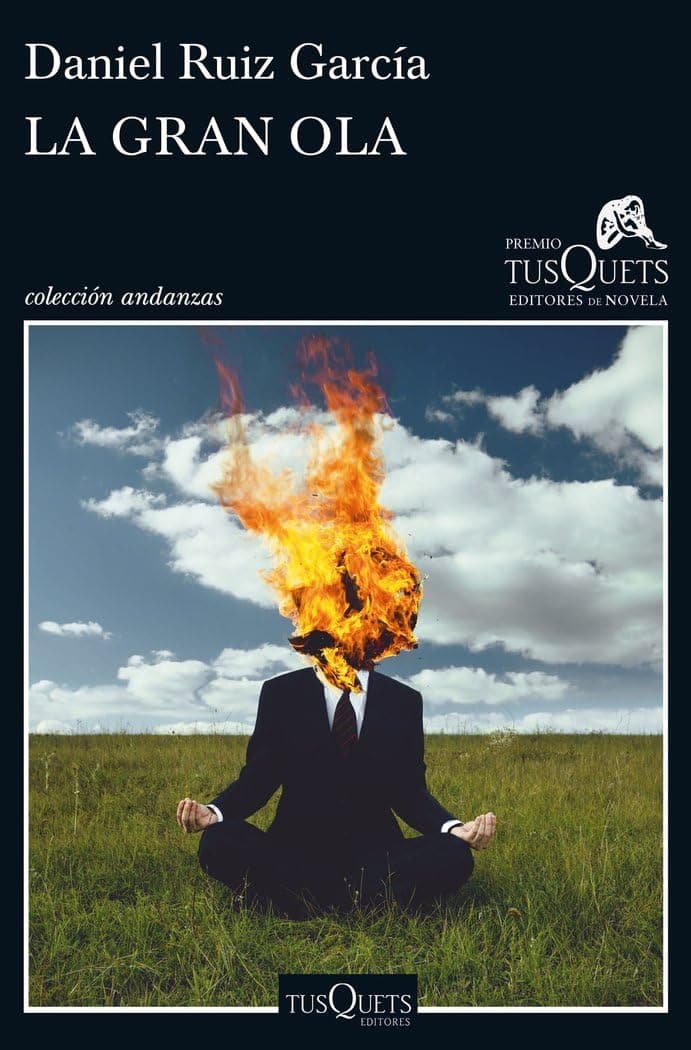 Portada de La gran ola: XII Premio Tusquets Editores de Novela: 11 (Andanzas)