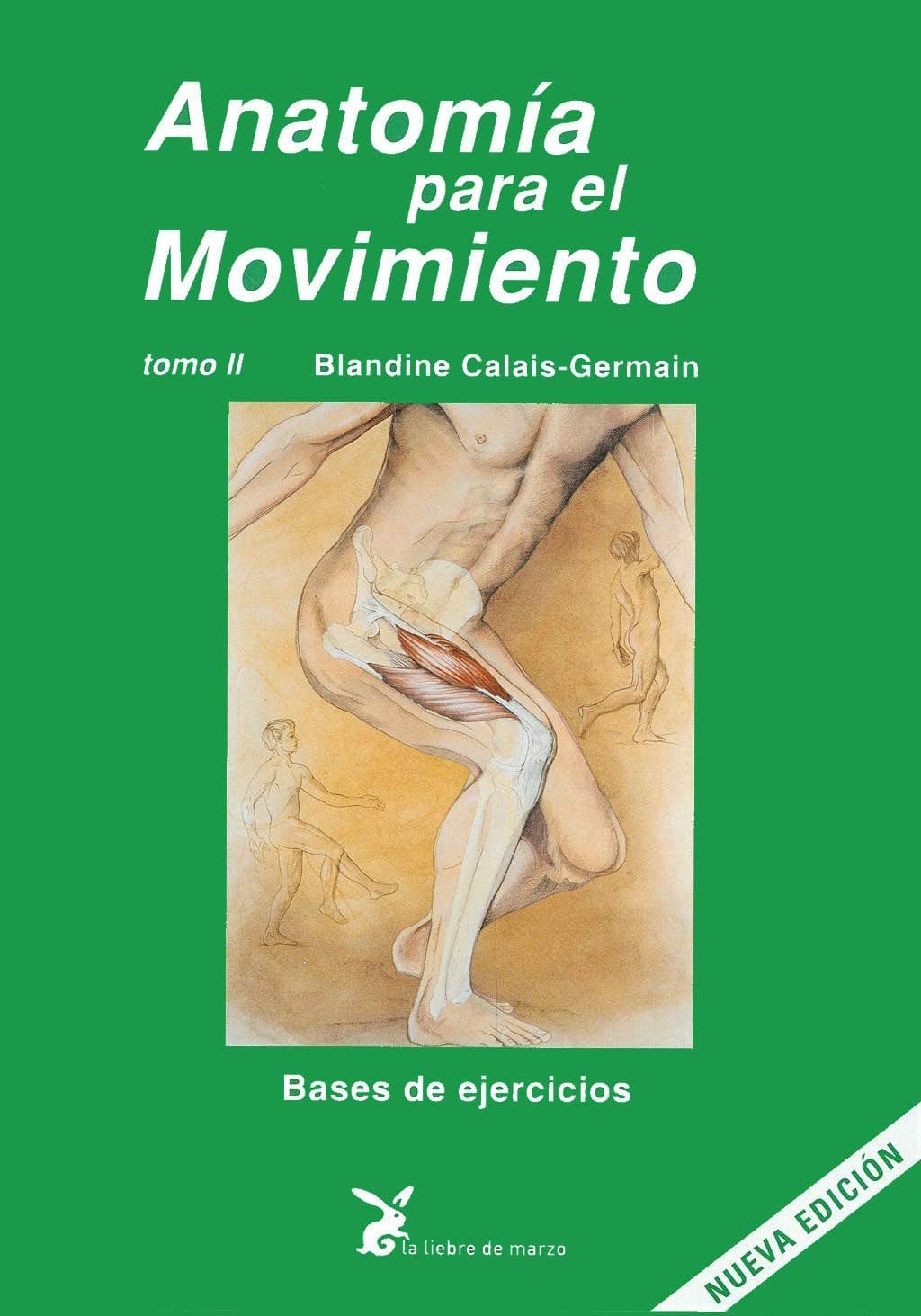 Portada de Anatomía para el movimiento. Bases de ejercicios - Tomo II