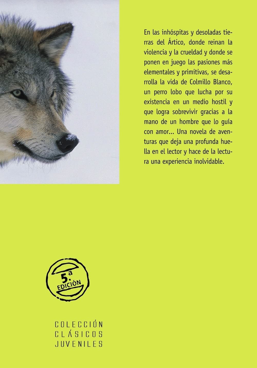 Portada de Colmillo Blanco (Castellano - A PARTIR DE 12 AÑOS - CLÁSICOS JUVENILES)