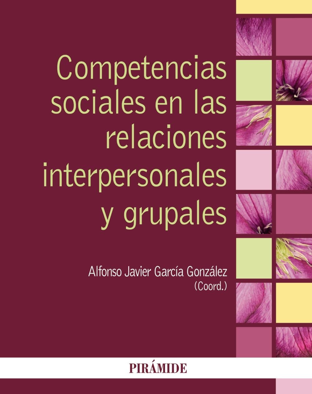 Portada de Competencias sociales en las relaciones interpersonales y grupales (Psicología)