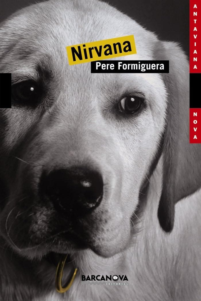 Portada de Nirvana (Llibres infantils i juvenils - Antaviana - Antaviana Nova)