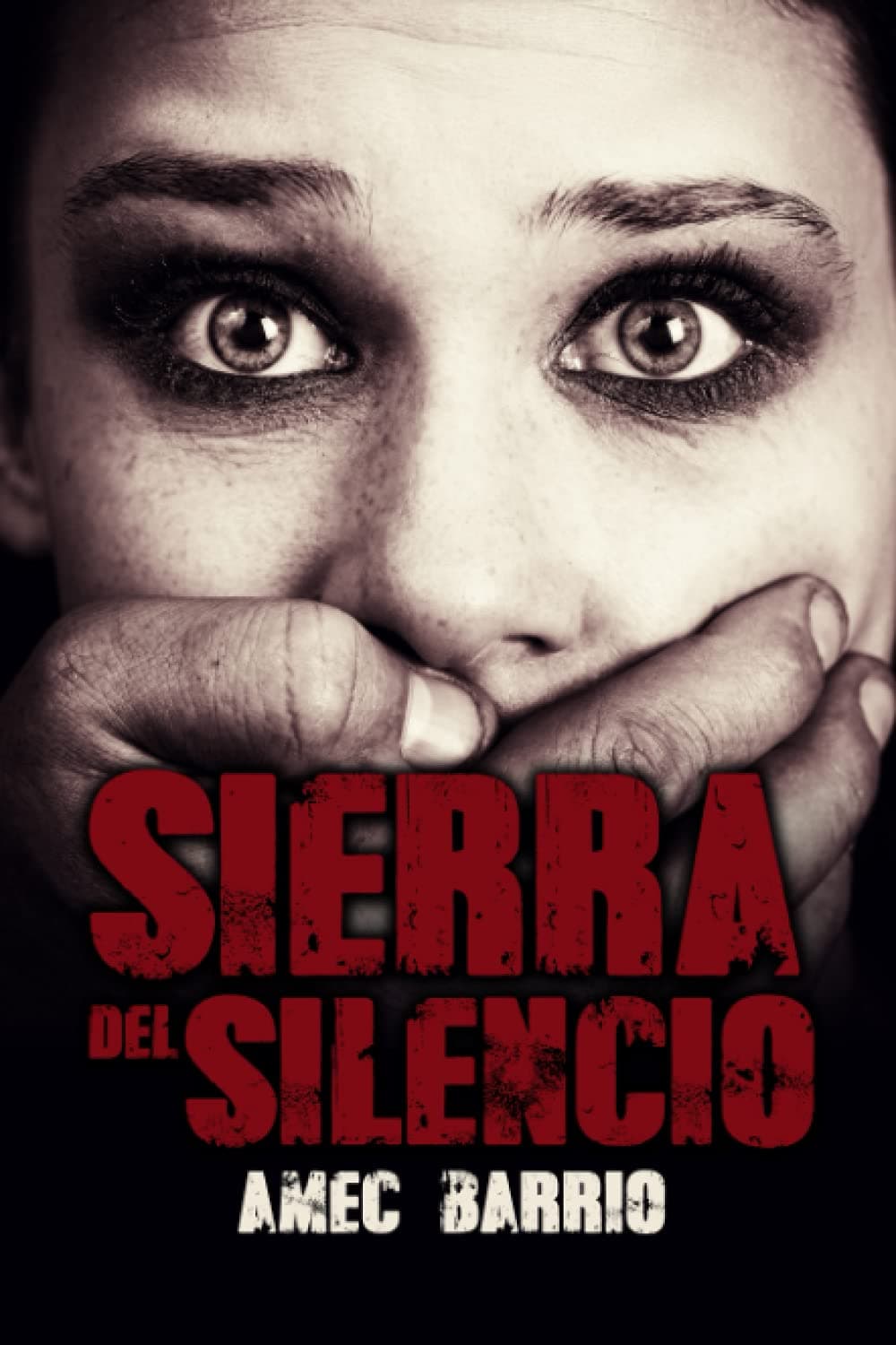 Portada de Sierra del silencio