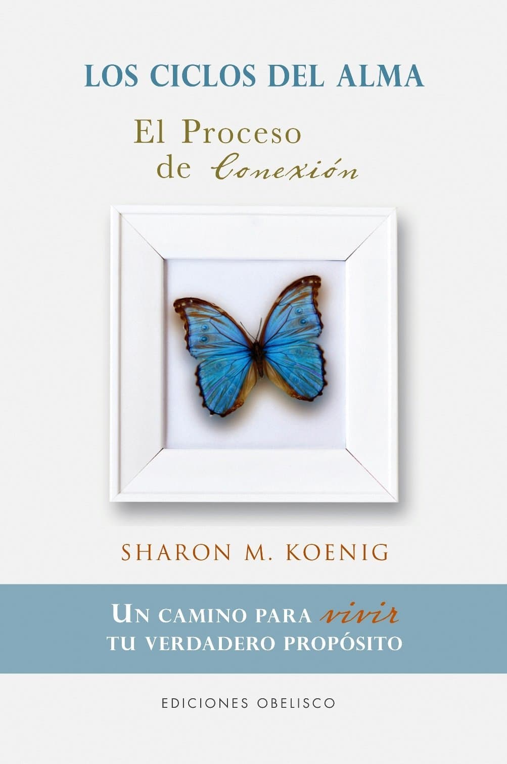 Portada de Proceso De Conexión, El