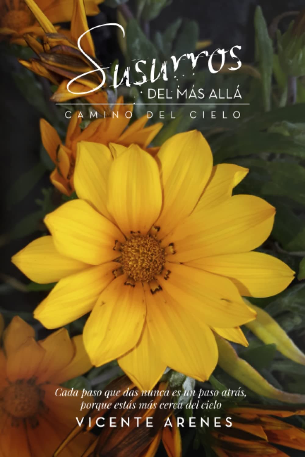 Portada de Susurros del más allá