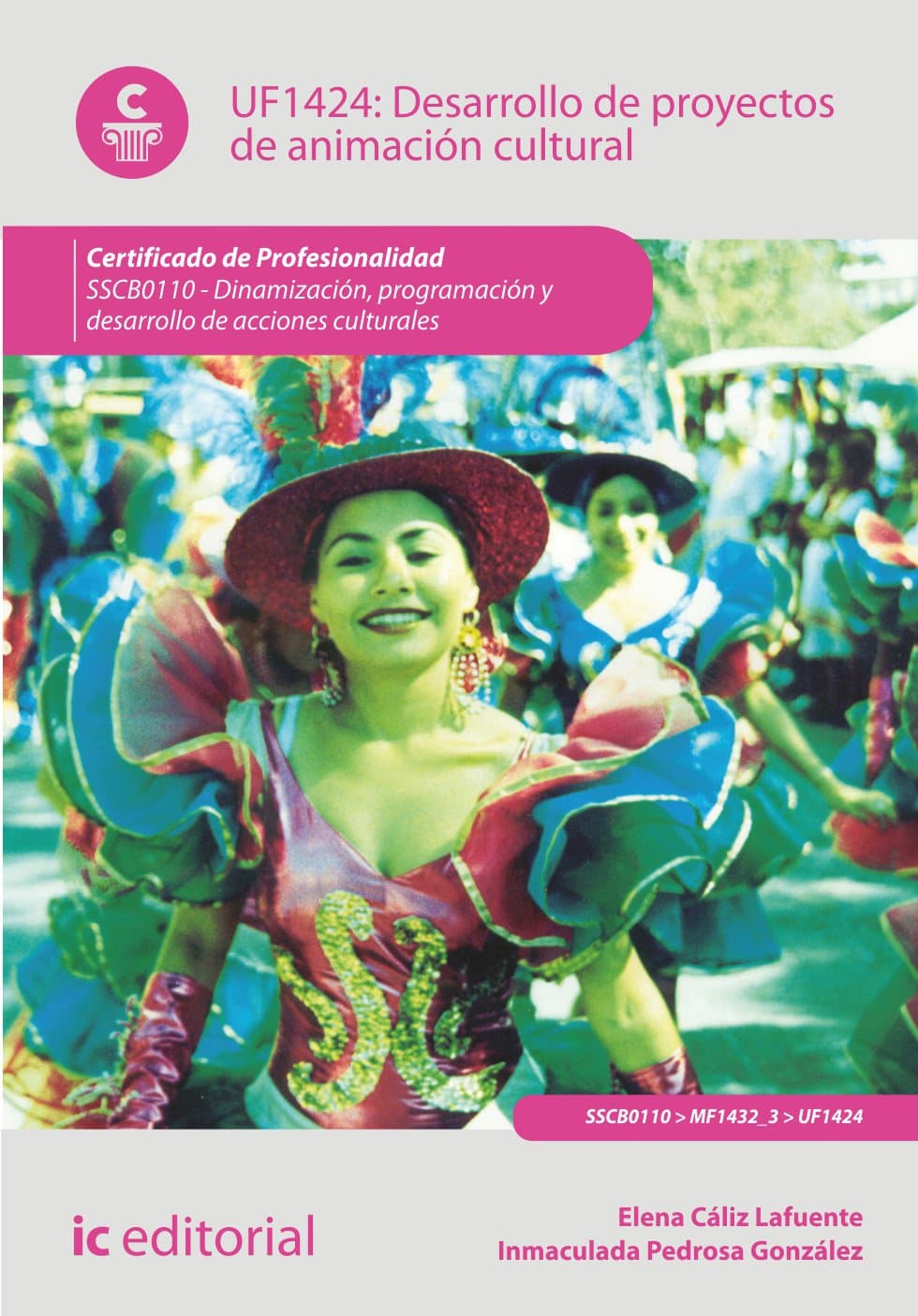 Portada de Desarrollo de proyectos de animación cultural. sscb0110 - dinamización, programación y desarrollo de acciones culturales (SIN COLECCION)