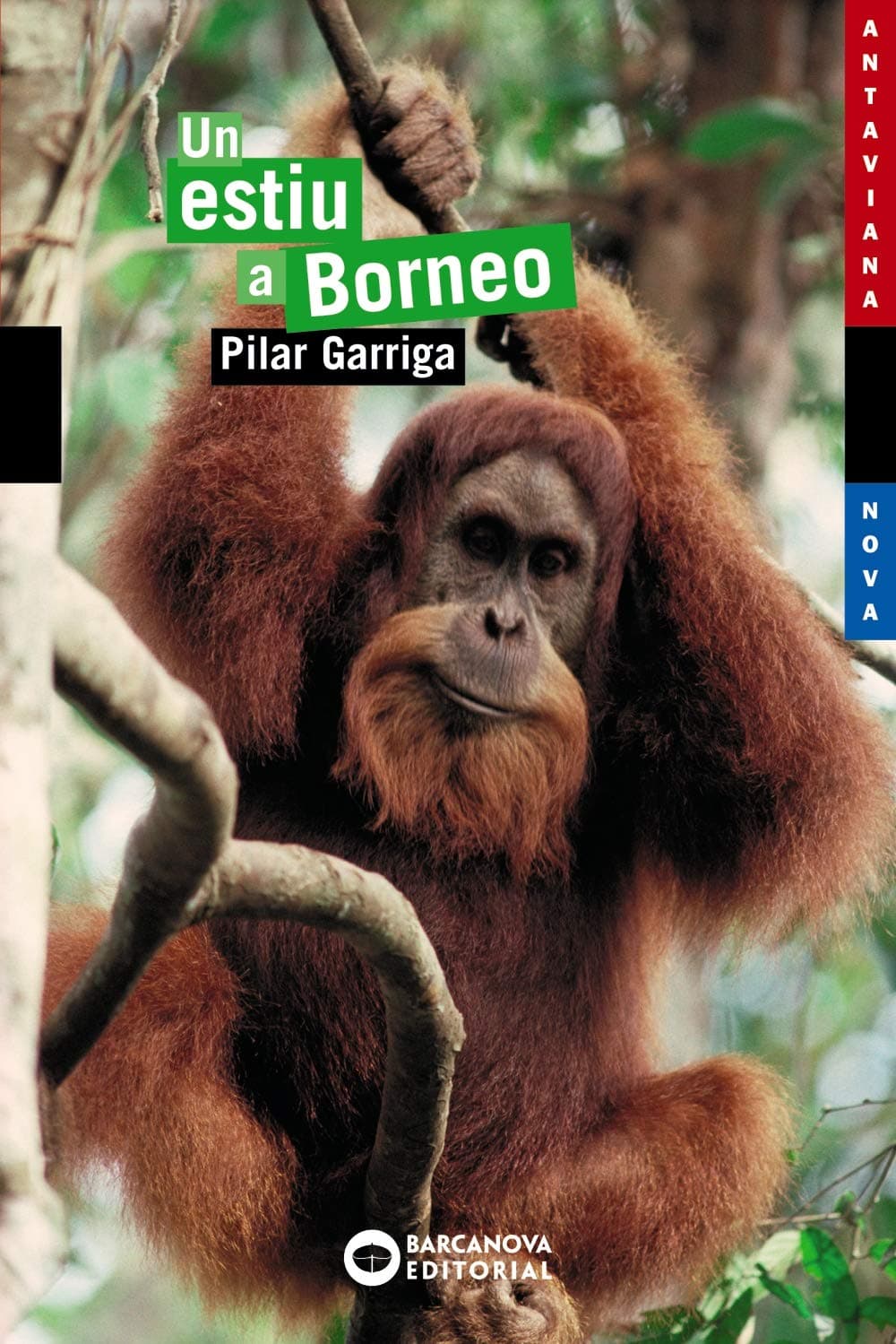 Portada de Un estiu a Borneo (Llibres infantils i juvenils - Antaviana - Antaviana Blava)