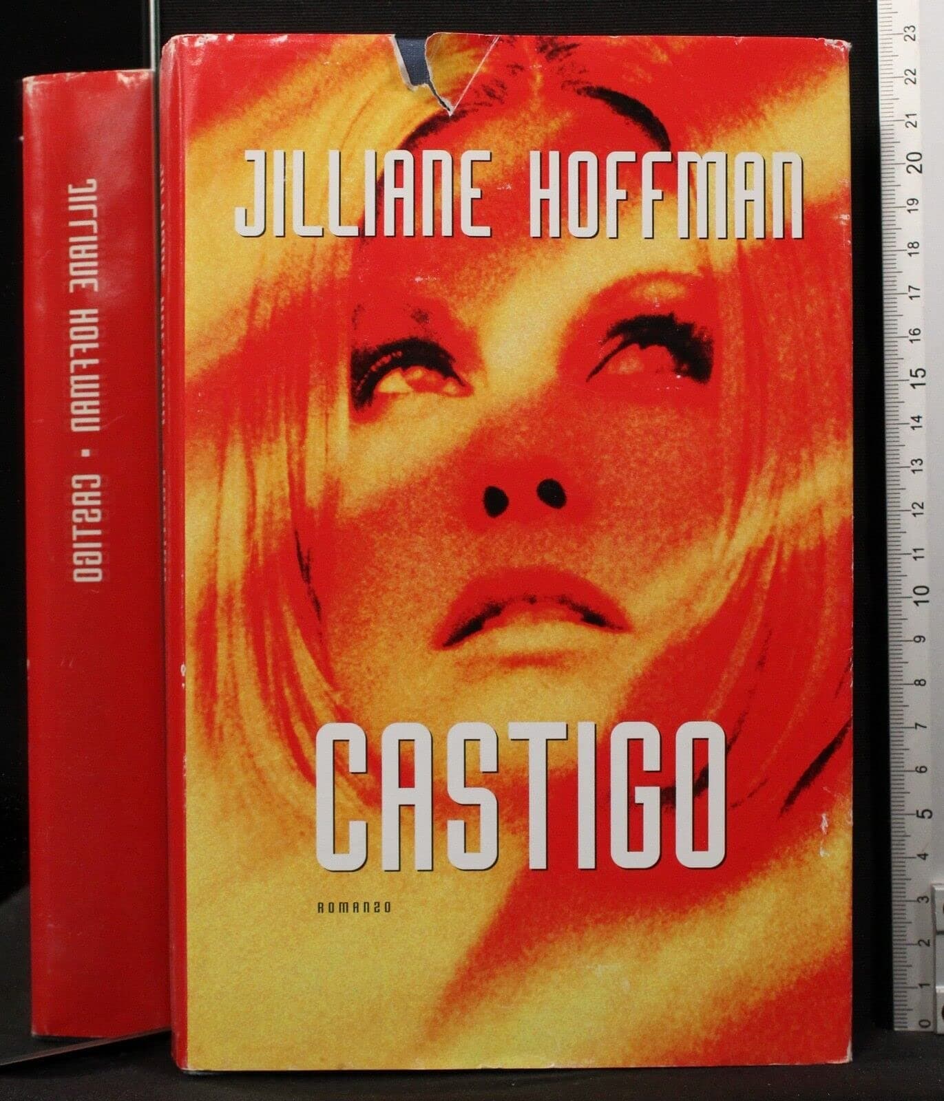Portada de Castigo