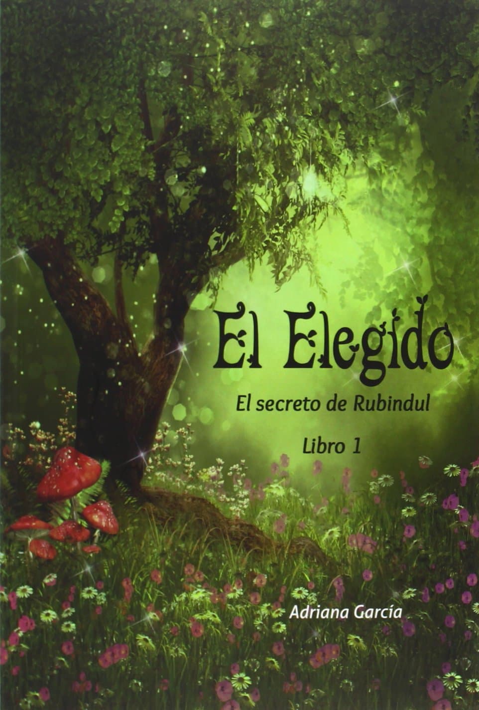 Portada de El elegido. El secreto de Rubindul 1 (Libros para jóvenes)