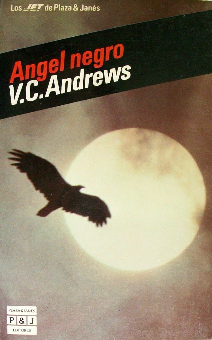 Portada de ANGEL NEGRO (SIN COLECCION)