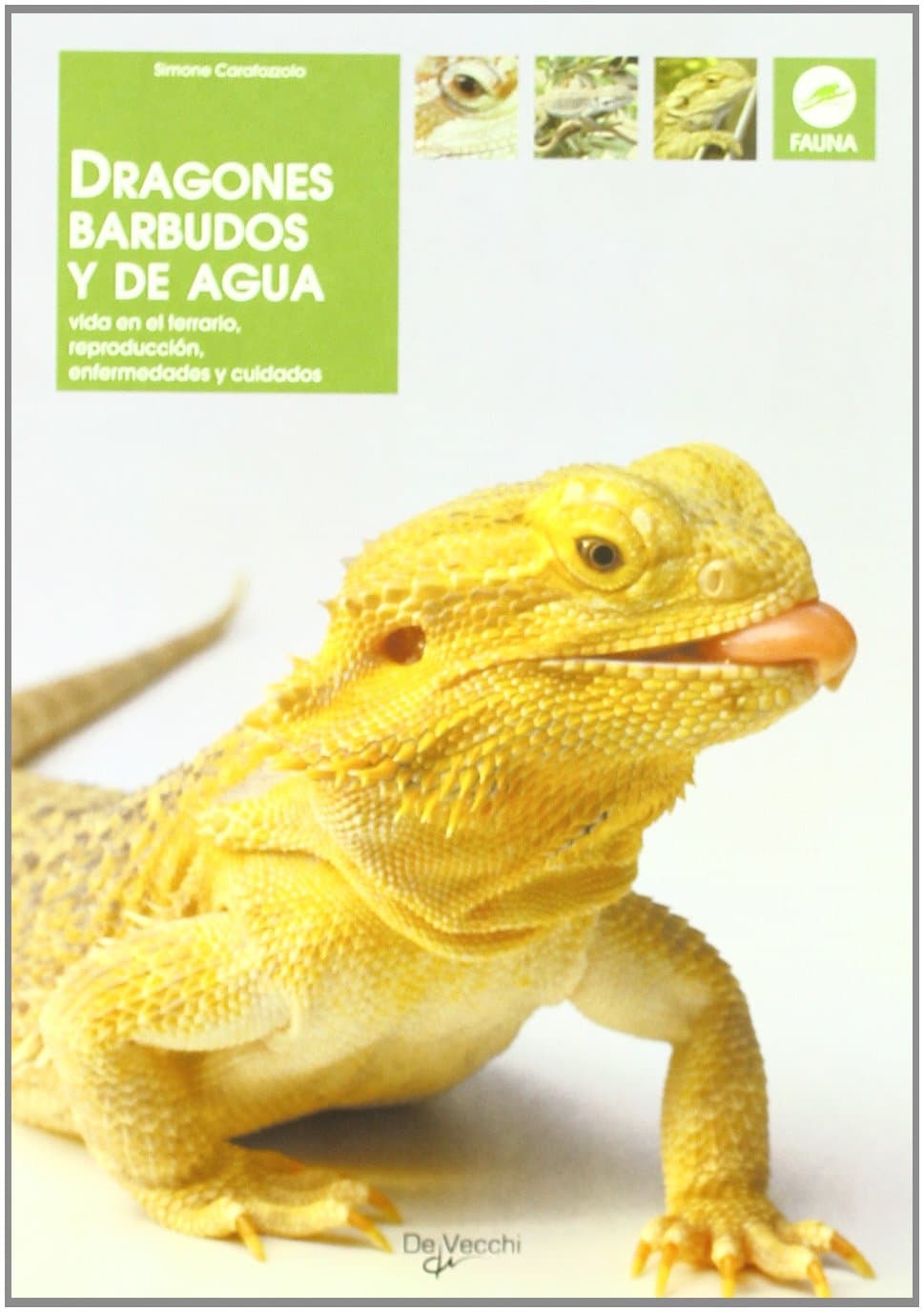 Portada de Dragones barbudos y de agua (Animales)