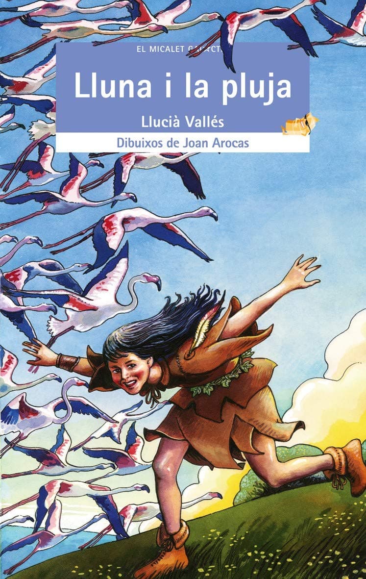 Portada de Lluna i la pluja: 114 (El Micalet Galàctic)