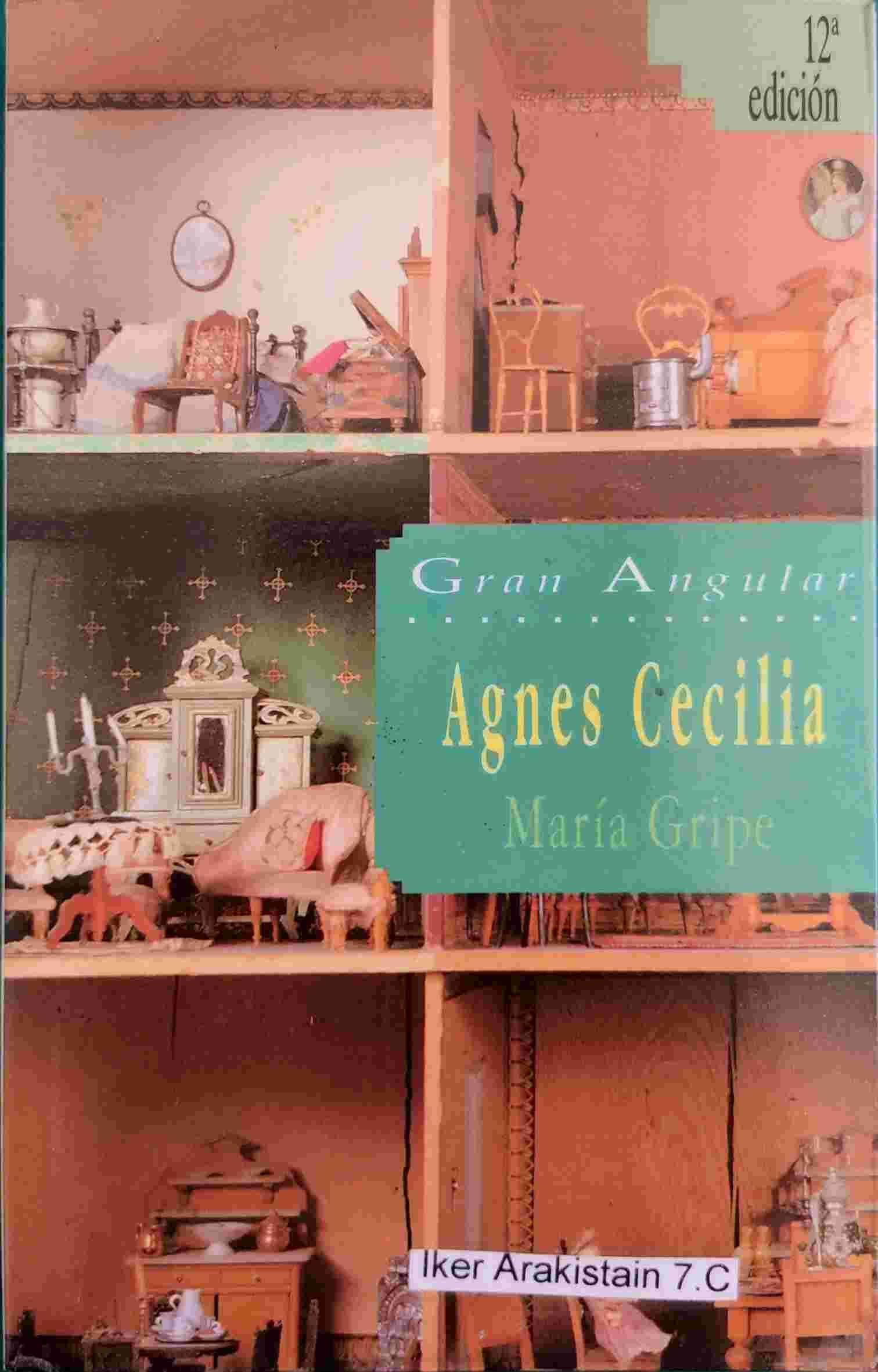 Portada de Agnes Cecilia: 40 (Gran Angular)
