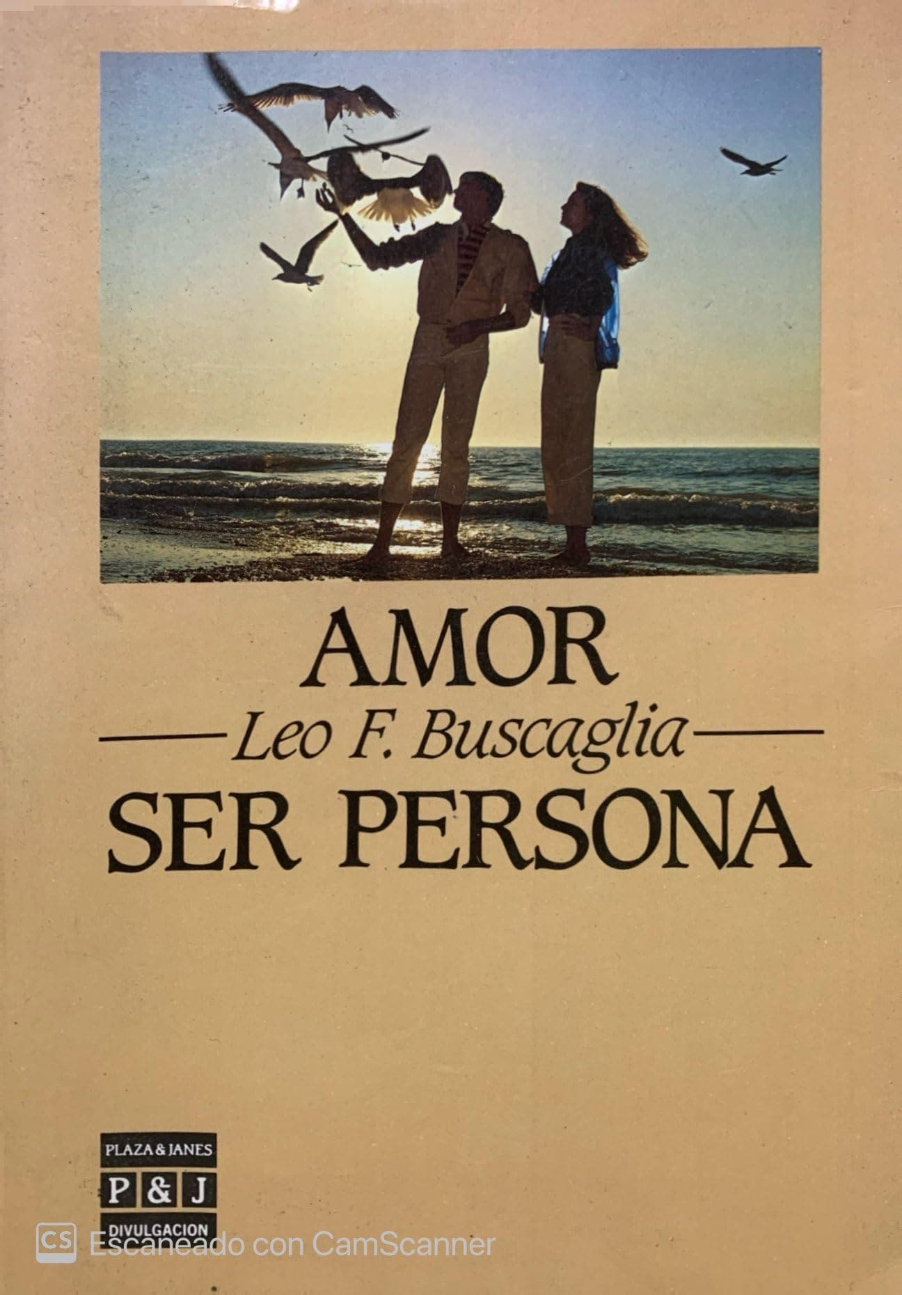 Portada de Amor ser persona