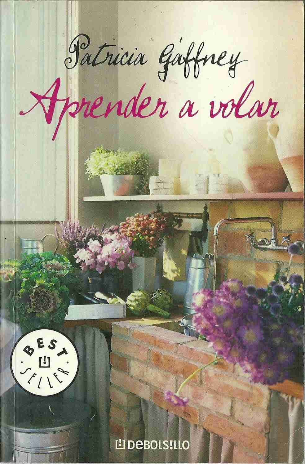 Portada de Aprender a volar