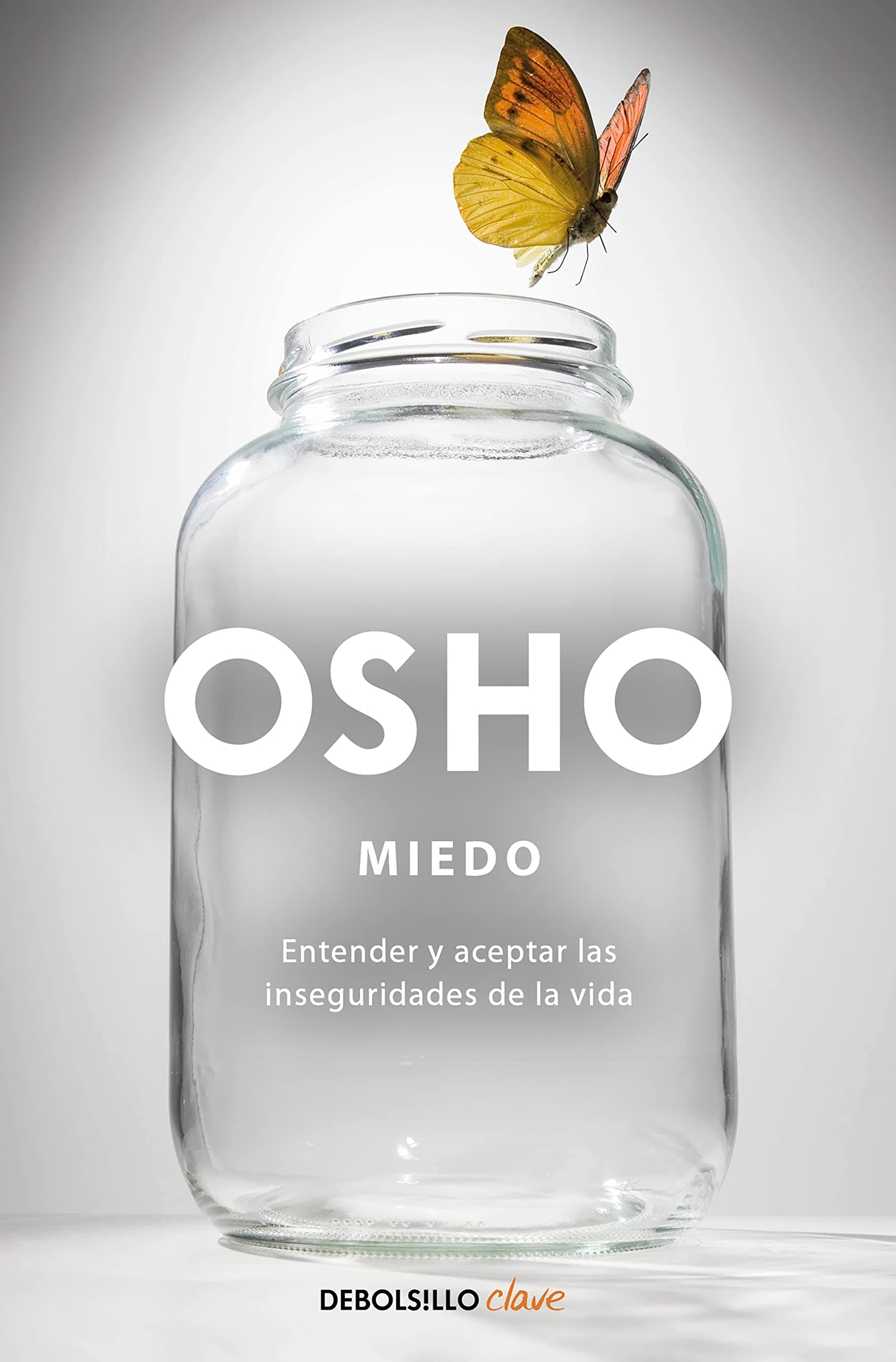 Portada de Miedo: entender y aceptar las inseguridades de la vida
