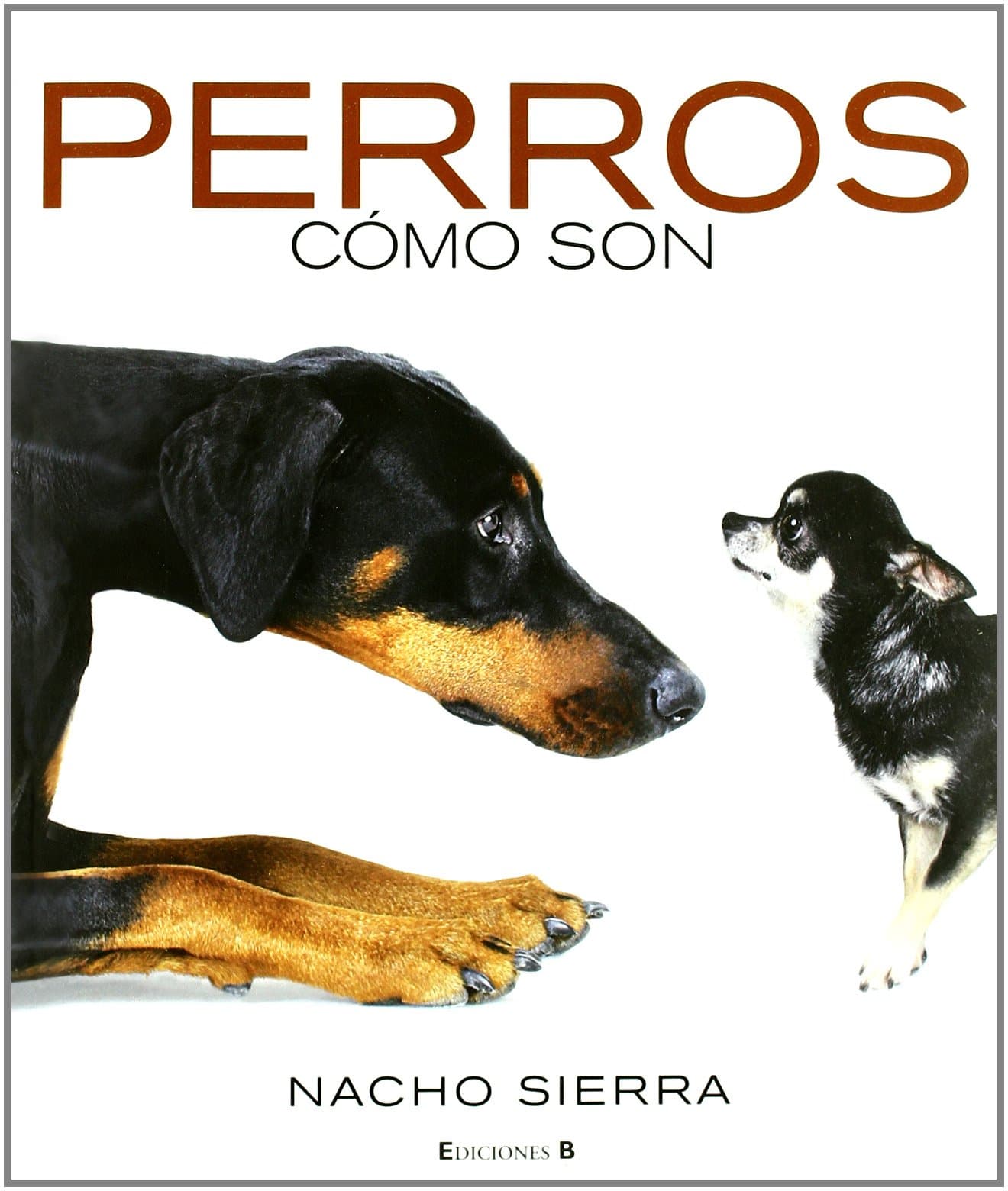 Portada de PERROS. COMO SON: 00000 (LIBROS ILUSTRADOS AD)