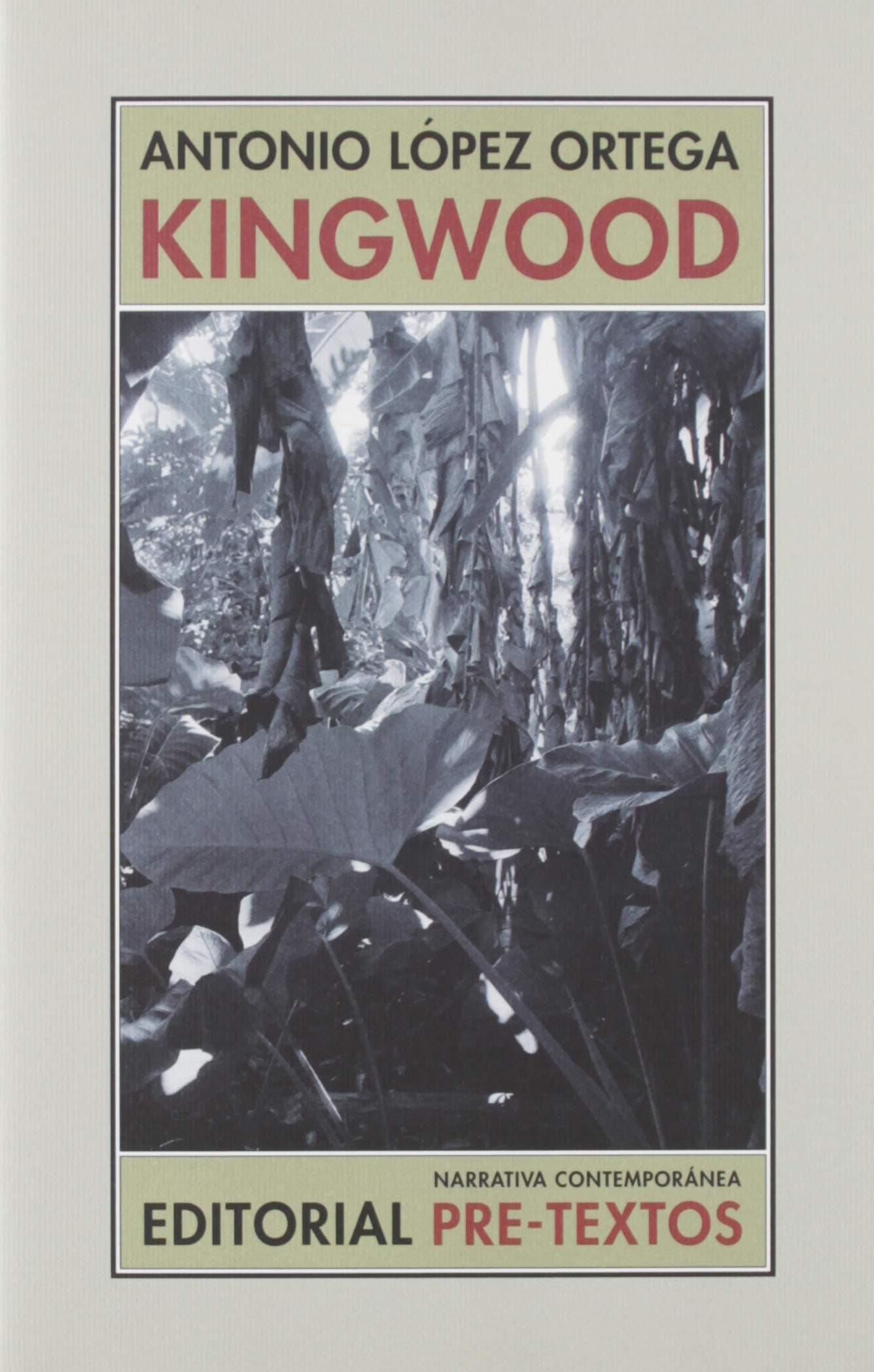 Portada de Kingwood: 163 (Narrativa Contemporánea)