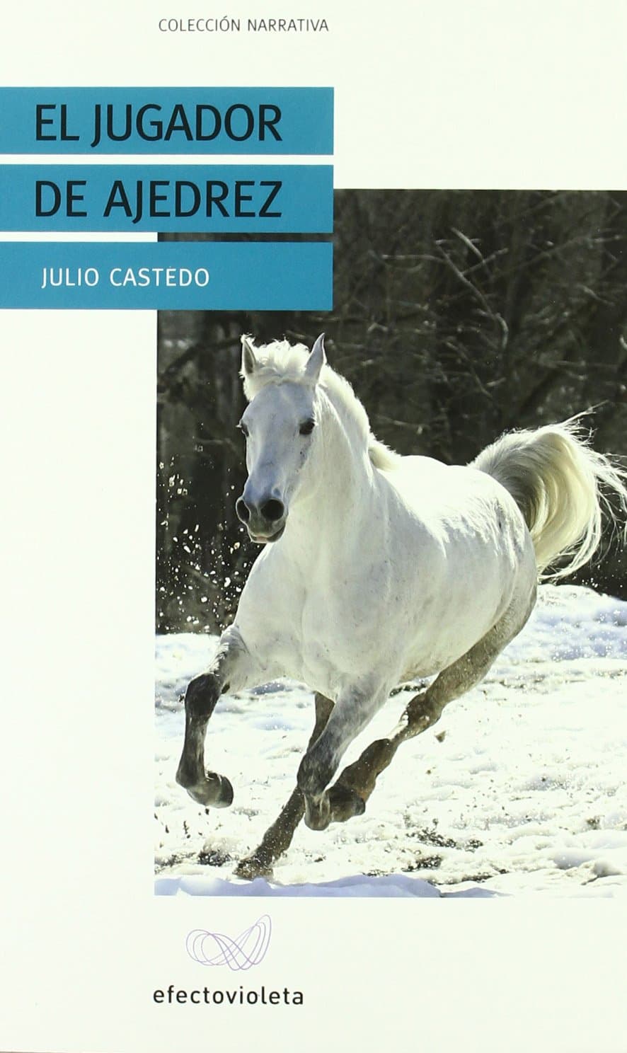 Portada de Jugador de ajedrez, el