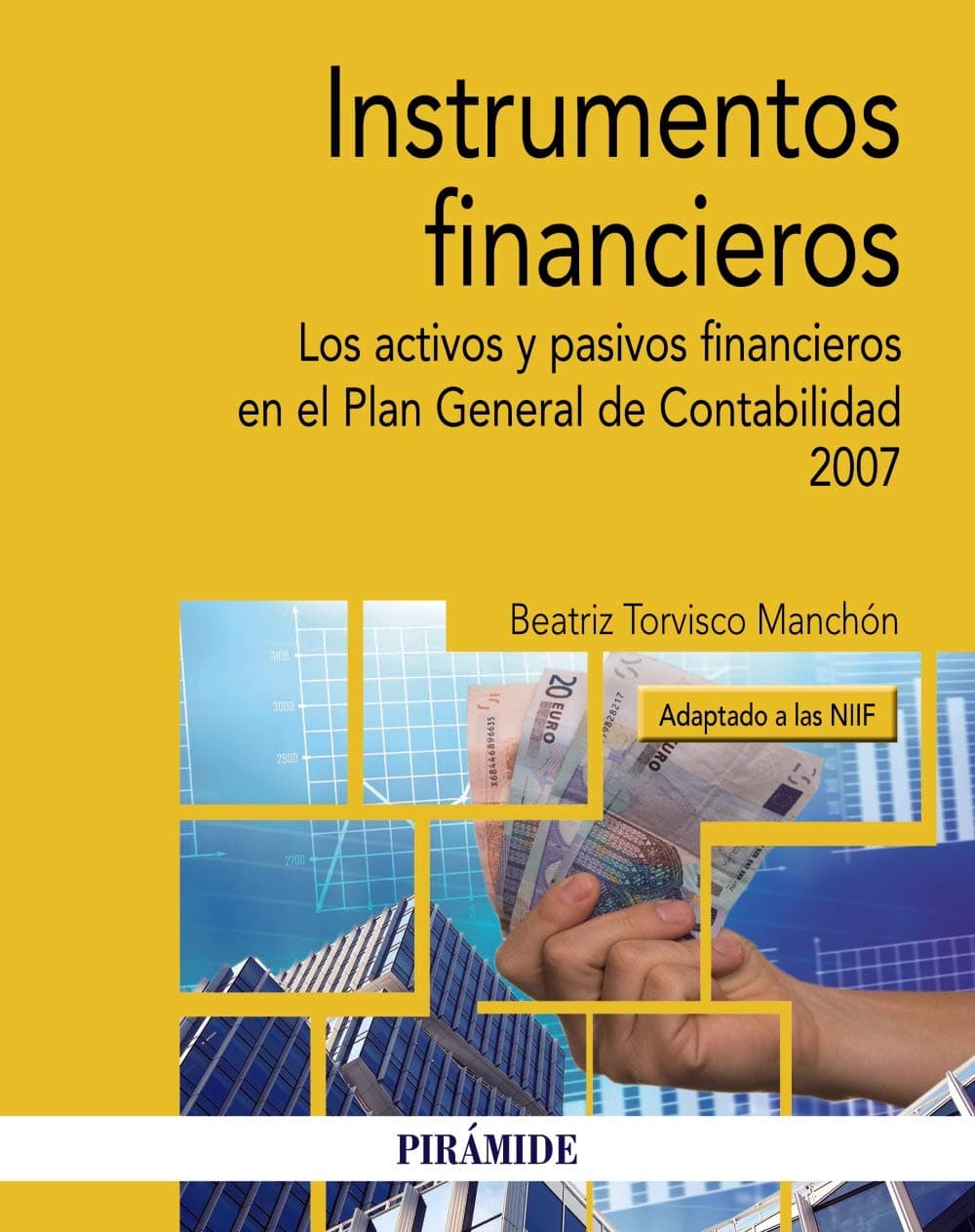 Portada de Instrumentos financieros: Los activos y pasivos financieros en el Plan General de Contabilidad 2007 (adaptado a las NIIF) (Economía y Empresa)