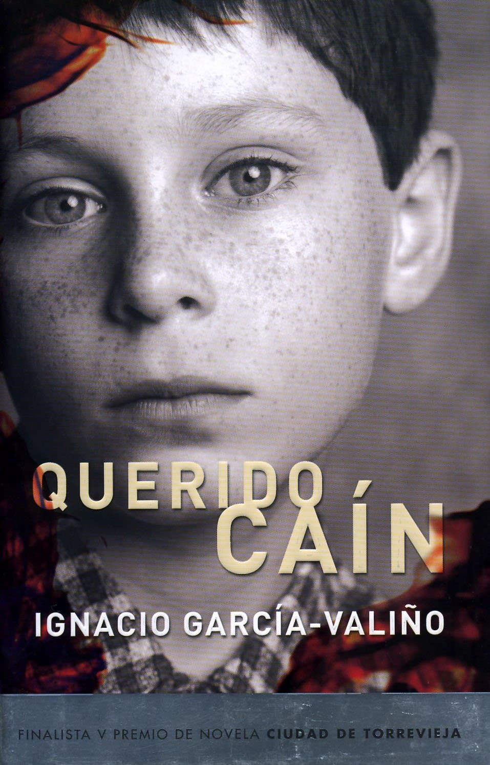 Portada de QUERIDO CAIN-FINALISTA P.TORREVIEJA 06 (SIN COLECCION)