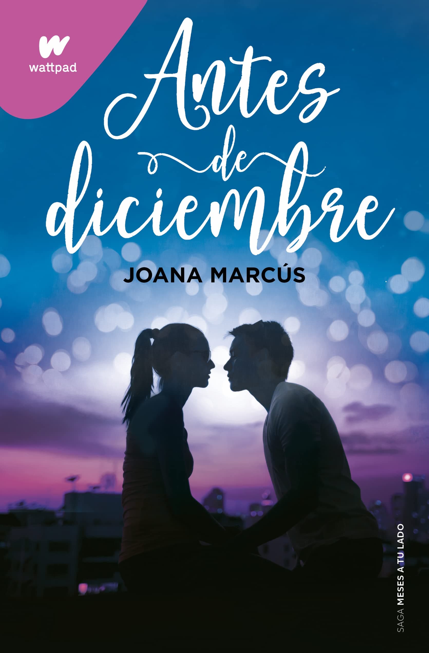 Portada de Antes de diciembre (edición revisada por la autora) (Meses a tu lado 1) (Wattpad)