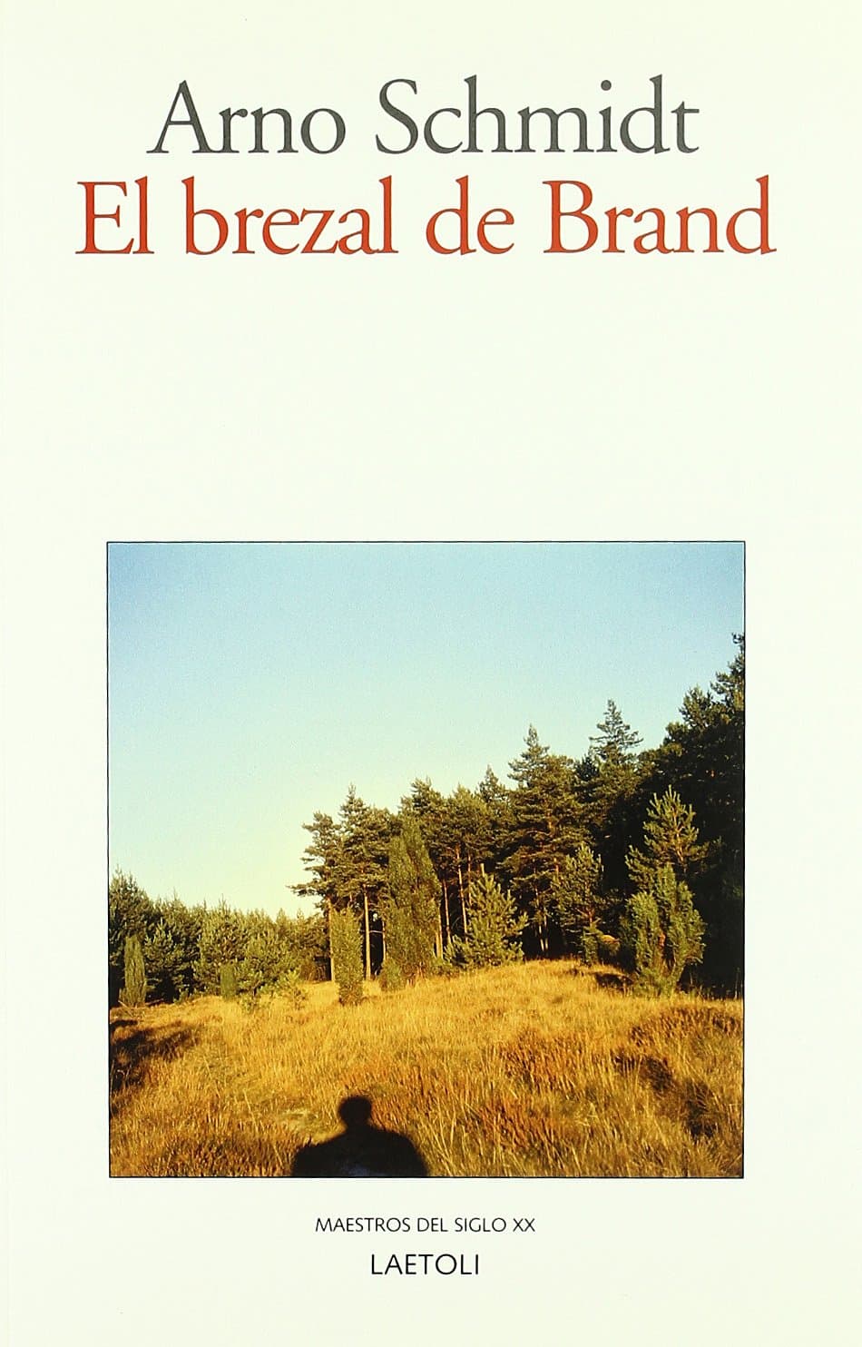 Portada de BREZAL DE BRAND,EL (SIN COLECCION)