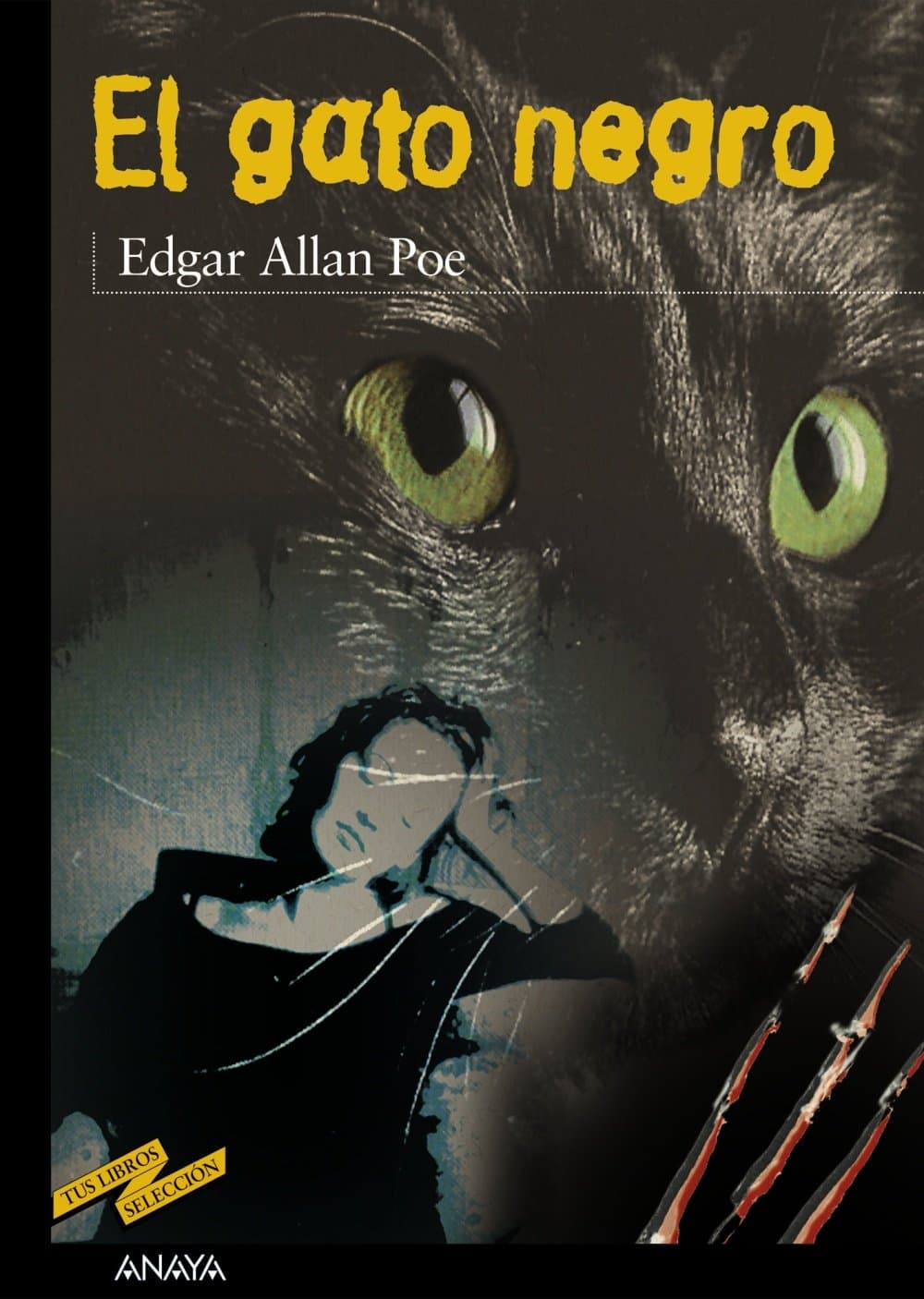 Portada de El gato negro (CLÁSICOS - Tus Libros-Selección)