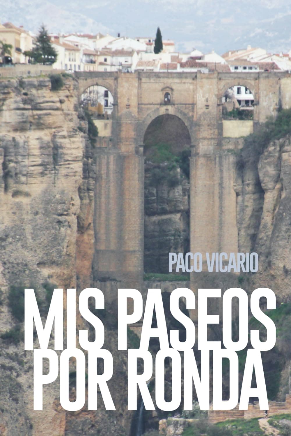 Portada de MIS PASEOS POR RONDA: CUADERNO DE VIAJE SOBRE RONDA