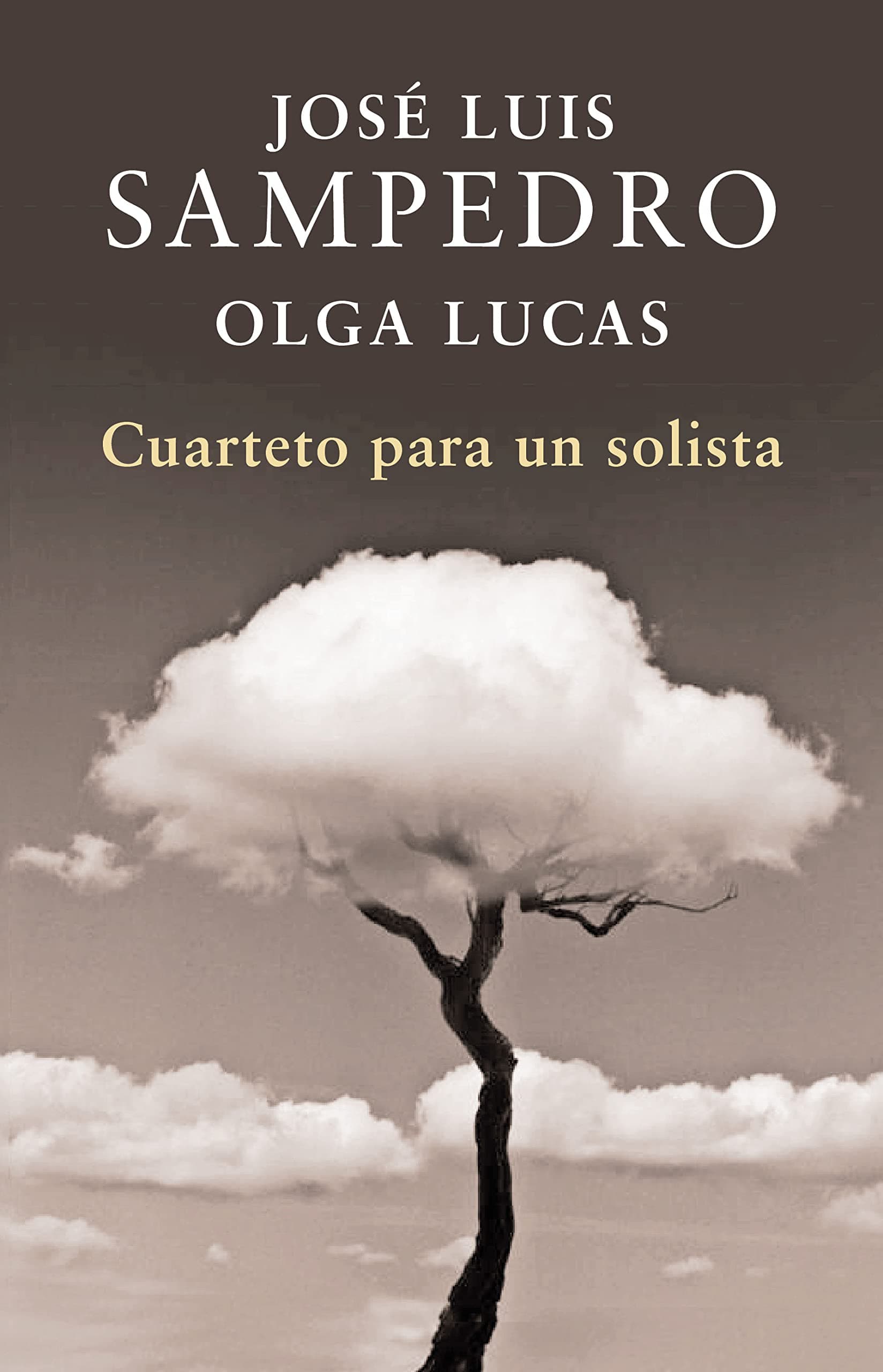 Portada de Cuarteto para un solista
