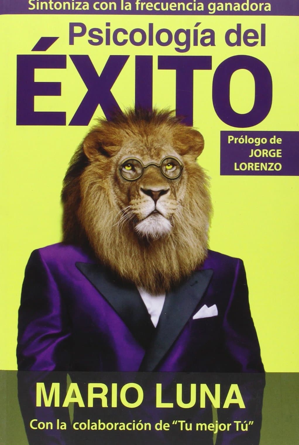 Portada de Psicología Del Éxito (Dinámicas sociales) Español