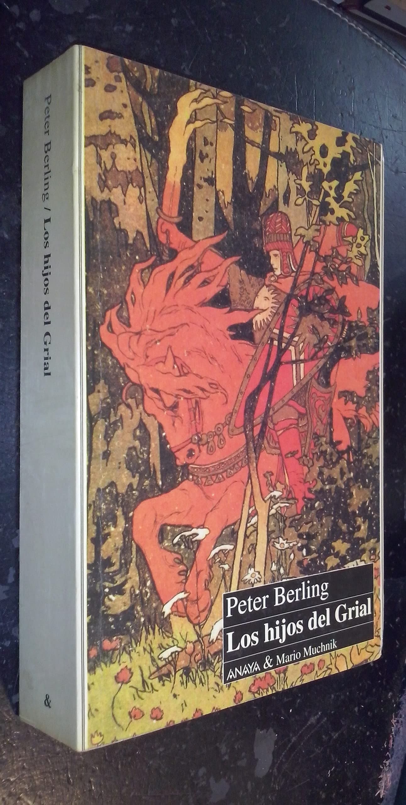 Portada de Los hijos del grial