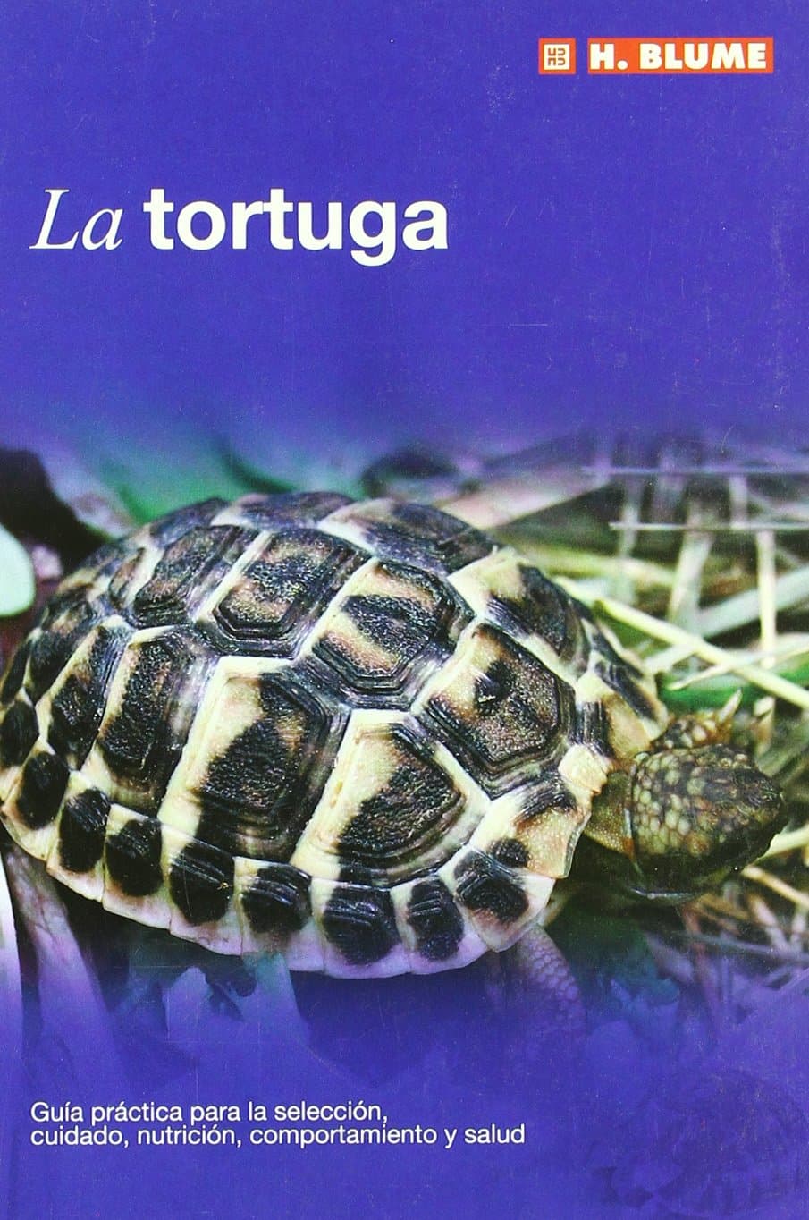 Portada de La tortuga: 10 (Mascotas)