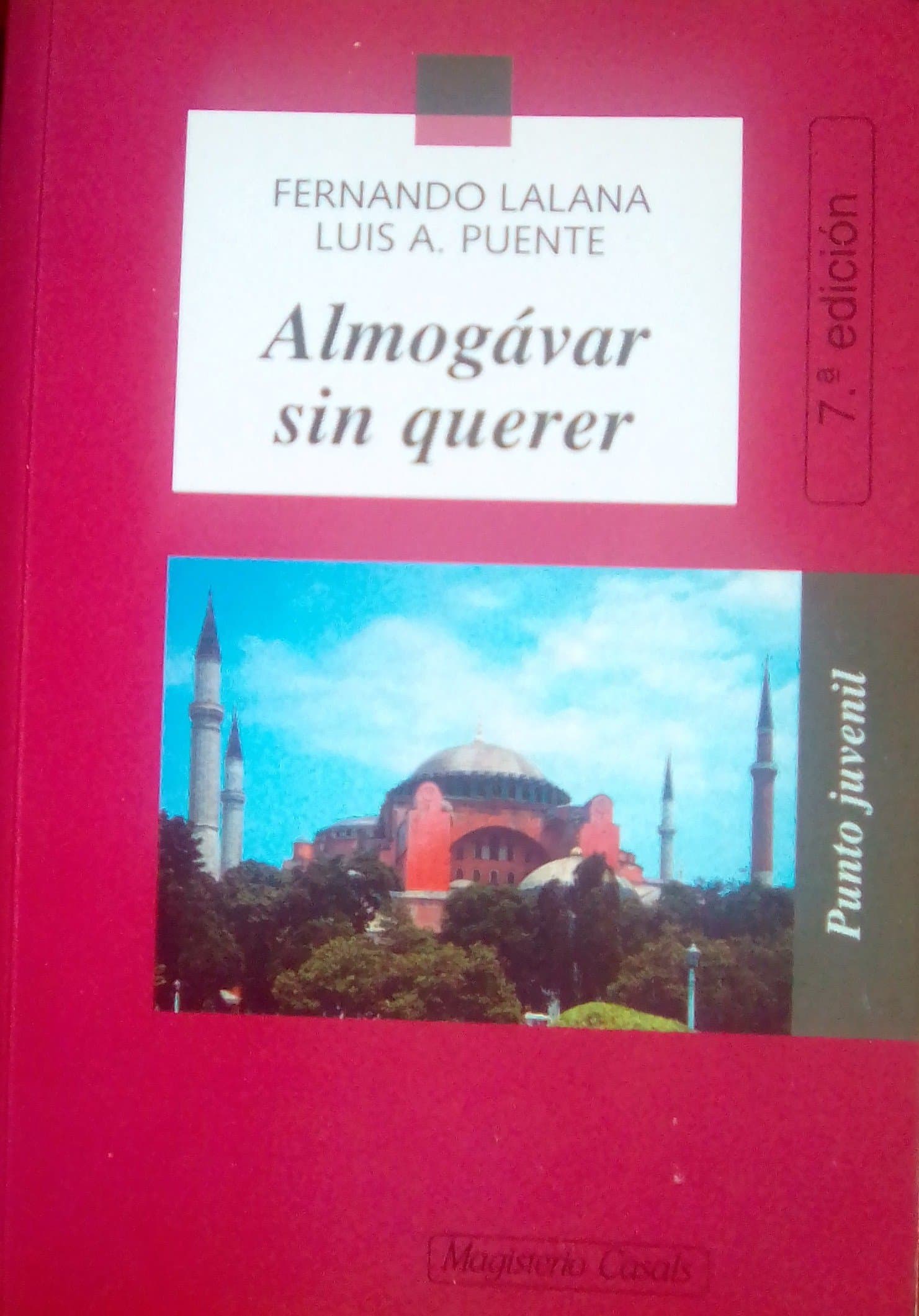 Portada de ALMOGAVAR SIN QUERER (SIN COLECCION)