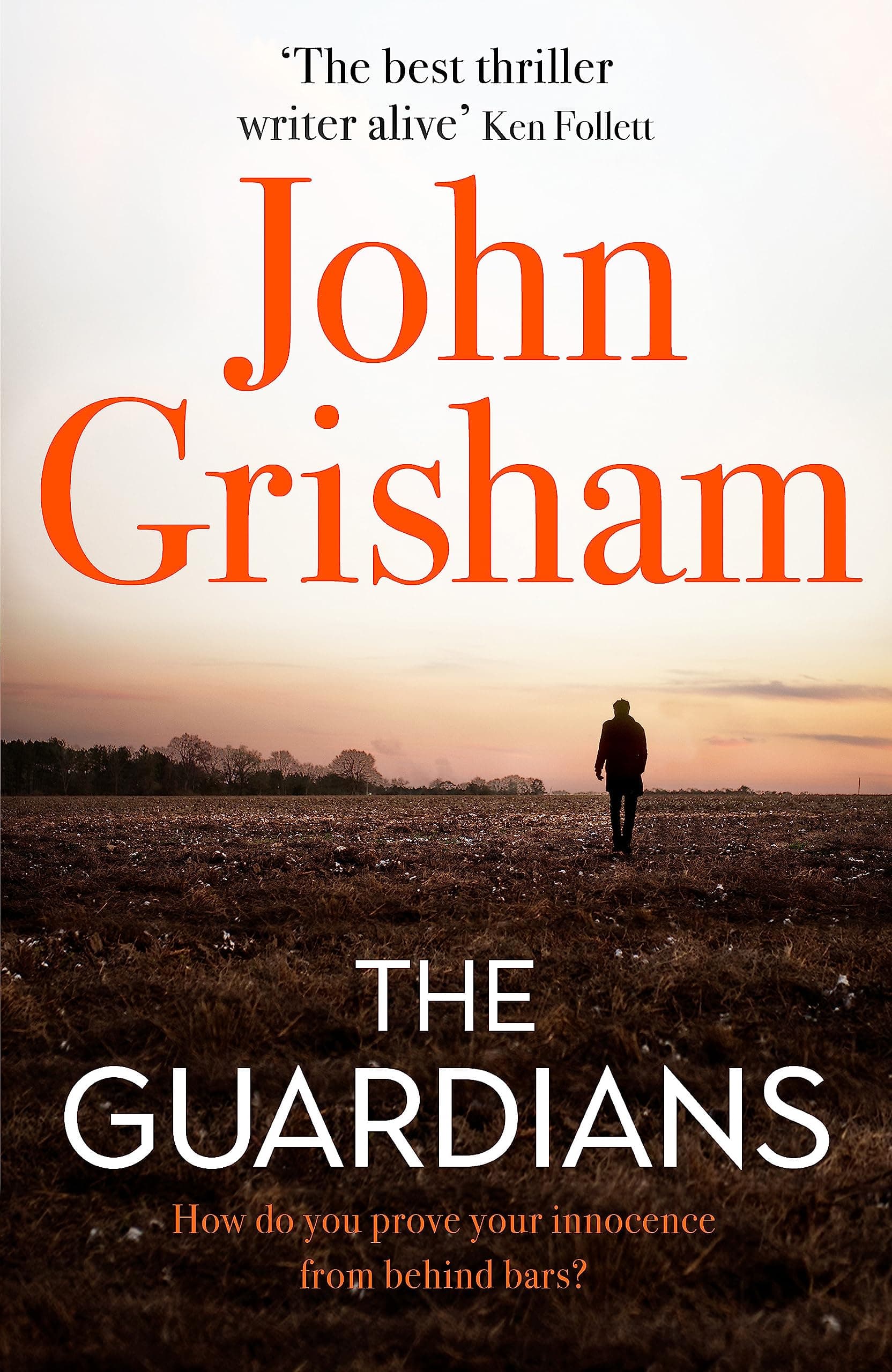 Portada de The Guardians: The Sunday Times Bestseller