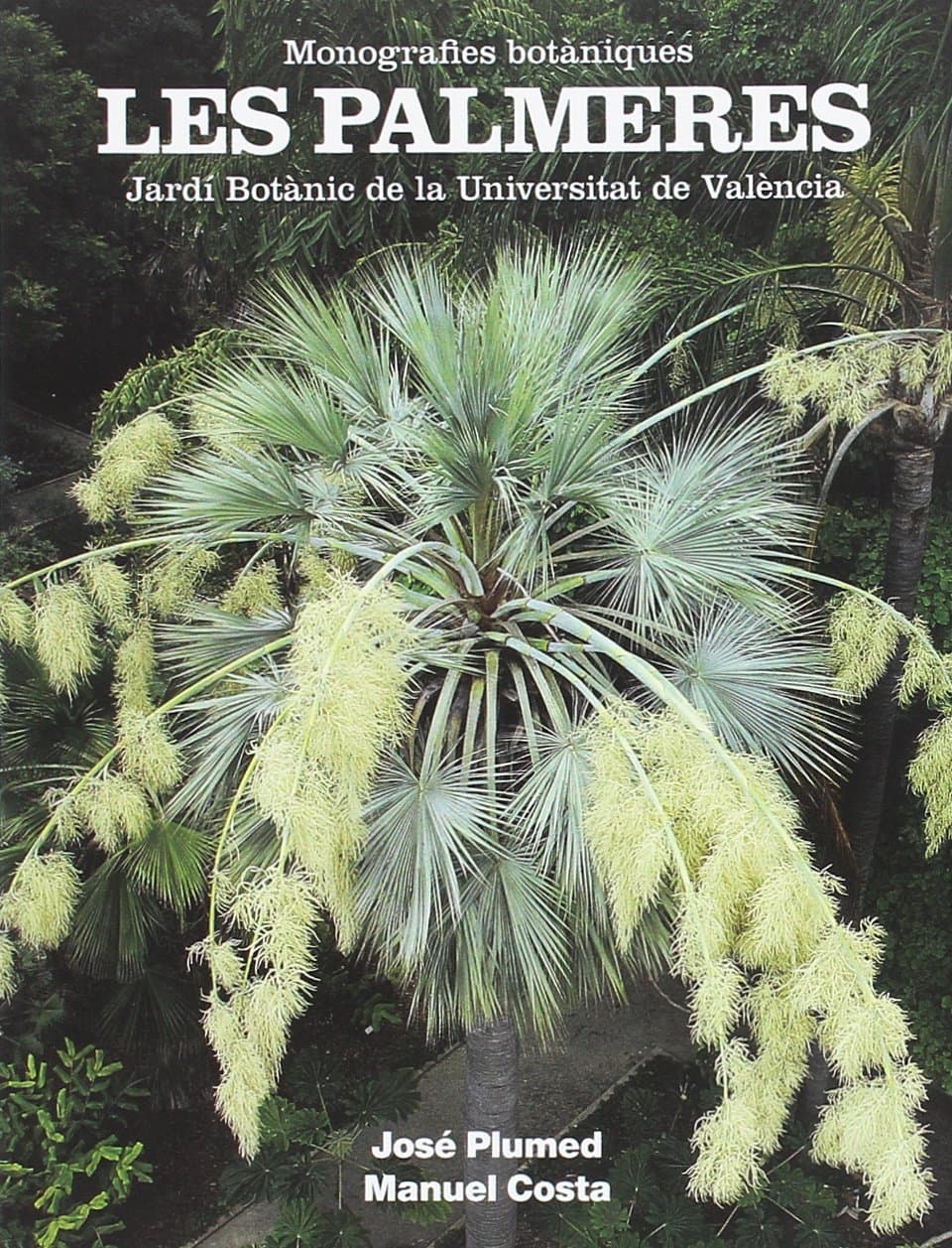 Portada de Les palmeres: 1 (Monografies botàniques)