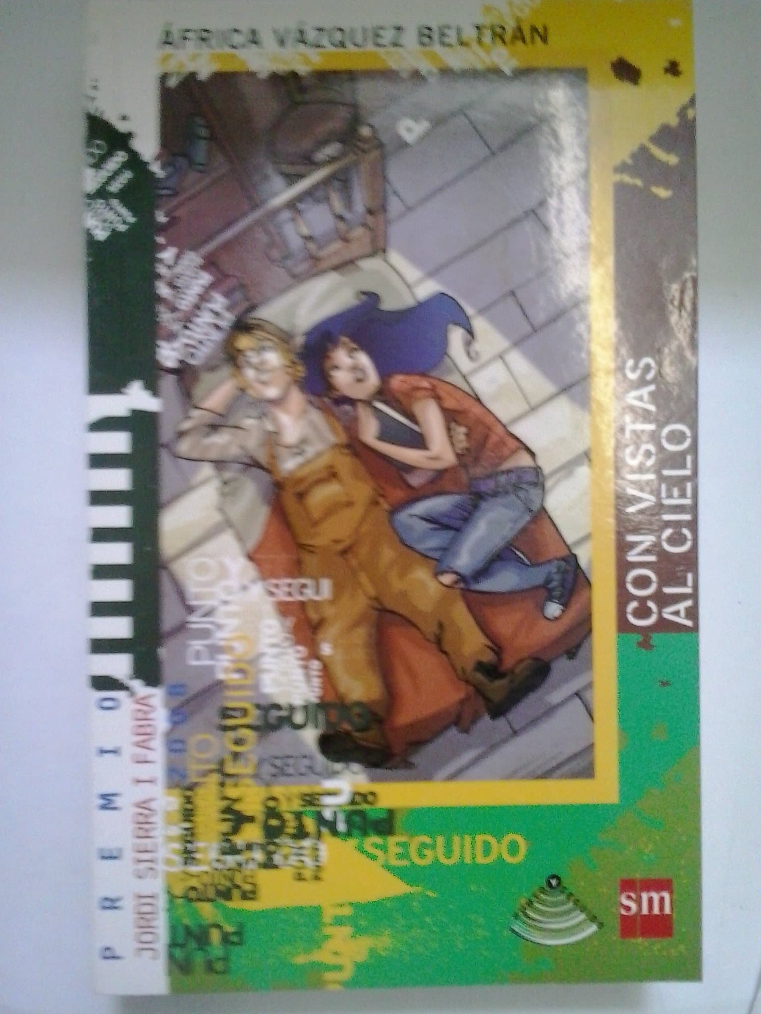 Portada de Con vistas al cielo (Punto Y Seguido)